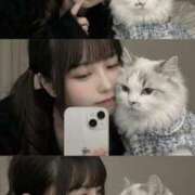 ヒメ日記 2026/02/15 10:19 投稿 める ジャパンクラブ富士