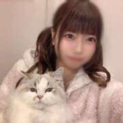 ヒメ日記 2026/02/19 22:02 投稿 める ジャパンクラブ富士