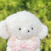 ヒメ日記 2026/02/21 13:52 投稿 める ジャパンクラブ富士