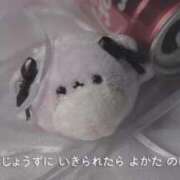 ヒメ日記 2026/03/28 06:12 投稿 める ジャパンクラブ富士