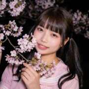 ヒメ日記 2026/04/04 09:17 投稿 める ジャパンクラブ富士