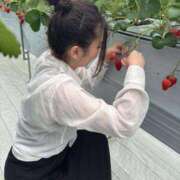 ヒメ日記 2026/04/15 14:21 投稿 ミレイ ルパン