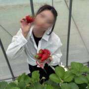 ヒメ日記 2026/04/16 11:28 投稿 ミレイ ルパン