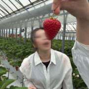 ヒメ日記 2026/04/16 20:58 投稿 ミレイ ルパン