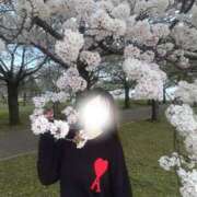 ヒメ日記 2026/04/08 19:47 投稿 菊池えがお クラブ　ブレンダ梅田北店