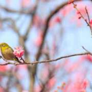 ヒメ日記 2026/03/05 14:06 投稿 みら 脱がされたい人妻 町田・相模原店