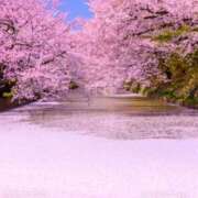 ヒメ日記 2026/04/05 23:35 投稿 みら 脱がされたい人妻 町田・相模原店