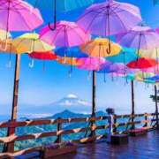 ヒメ日記 2026/04/10 11:04 投稿 みら 脱がされたい人妻 町田・相模原店