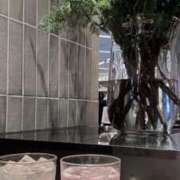 ヒメ日記 2026/01/31 20:07 投稿 麻生 舞(まい) 東京不倫 渋谷店