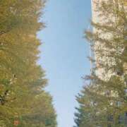 ヒメ日記 2025/12/05 02:59 投稿 のあ ぐっすり山田 五反田店