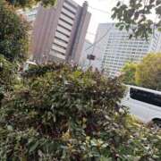 ヒメ日記 2026/03/31 21:28 投稿 つかさ 東京アロマスタイル