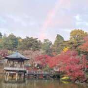 ヒメ日記 2025/11/24 12:55 投稿 七瀬 HERMINE-エルミネ-