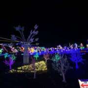 ヒメ日記 2025/12/07 16:47 投稿 七瀬 HERMINE-エルミネ-