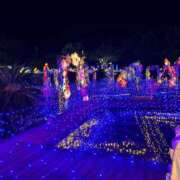 ヒメ日記 2025/12/09 08:31 投稿 七瀬 HERMINE-エルミネ-