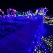 ヒメ日記 2025/12/16 07:50 投稿 七瀬 HERMINE-エルミネ-