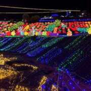 ヒメ日記 2025/12/17 08:46 投稿 七瀬 HERMINE-エルミネ-