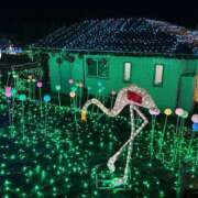 ヒメ日記 2025/12/21 22:46 投稿 七瀬 HERMINE-エルミネ-