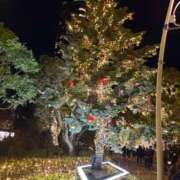 ヒメ日記 2025/12/25 12:19 投稿 七瀬 HERMINE-エルミネ-