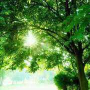 ヒメ日記 2025/11/12 09:36 投稿 間宮 HERMINE-エルミネ-