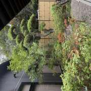 ヒメ日記 2025/11/14 23:38 投稿 間宮 HERMINE-エルミネ-