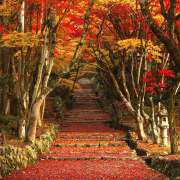 ヒメ日記 2025/11/16 13:31 投稿 間宮 HERMINE-エルミネ-