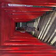 ヒメ日記 2025/11/19 09:56 投稿 間宮 HERMINE-エルミネ-