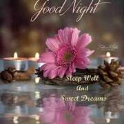 ヒメ日記 2025/11/27 02:12 投稿 間宮 HERMINE-エルミネ-