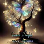 ヒメ日記 2025/11/30 05:48 投稿 間宮 HERMINE-エルミネ-