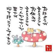 ヒメ日記 2025/12/03 15:05 投稿 間宮 HERMINE-エルミネ-