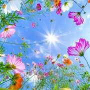 間宮 おはようございます HERMINE-エルミネ-