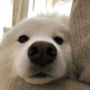 間宮 おはようございます HERMINE-エルミネ-