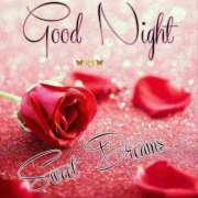 ヒメ日記 2025/12/08 05:54 投稿 間宮 HERMINE-エルミネ-