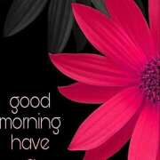 ヒメ日記 2025/12/09 14:38 投稿 間宮 HERMINE-エルミネ-