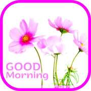 ヒメ日記 2025/12/12 14:42 投稿 間宮 HERMINE-エルミネ-