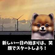 ヒメ日記 2025/12/18 10:09 投稿 間宮 HERMINE-エルミネ-