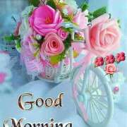 ヒメ日記 2025/12/20 13:16 投稿 間宮 HERMINE-エルミネ-