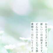 ヒメ日記 2025/12/21 10:28 投稿 間宮 HERMINE-エルミネ-