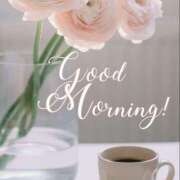 ヒメ日記 2025/12/23 11:19 投稿 間宮 HERMINE-エルミネ-