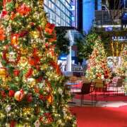 ヒメ日記 2025/12/25 13:33 投稿 間宮 HERMINE-エルミネ-