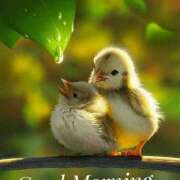 ヒメ日記 2025/12/29 10:10 投稿 間宮 HERMINE-エルミネ-