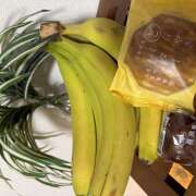 ヒメ日記 2025/12/31 04:34 投稿 間宮 HERMINE-エルミネ-