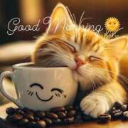 ヒメ日記 2026/01/08 12:24 投稿 間宮 HERMINE-エルミネ-