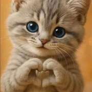 ヒメ日記 2026/01/10 13:00 投稿 間宮 HERMINE-エルミネ-