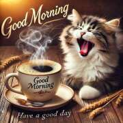 ヒメ日記 2026/01/18 12:59 投稿 間宮 HERMINE-エルミネ-