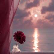 ヒメ日記 2026/01/23 06:18 投稿 間宮 HERMINE-エルミネ-