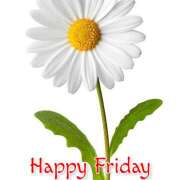 ヒメ日記 2026/02/20 12:01 投稿 間宮 HERMINE-エルミネ-