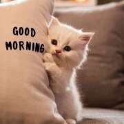 ヒメ日記 2026/02/21 11:45 投稿 間宮 HERMINE-エルミネ-