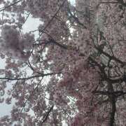 ヒメ日記 2026/02/23 07:12 投稿 間宮 HERMINE-エルミネ-