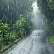 ヒメ日記 2026/02/25 09:09 投稿 間宮 HERMINE-エルミネ-