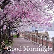 ヒメ日記 2026/02/28 11:31 投稿 間宮 HERMINE-エルミネ-